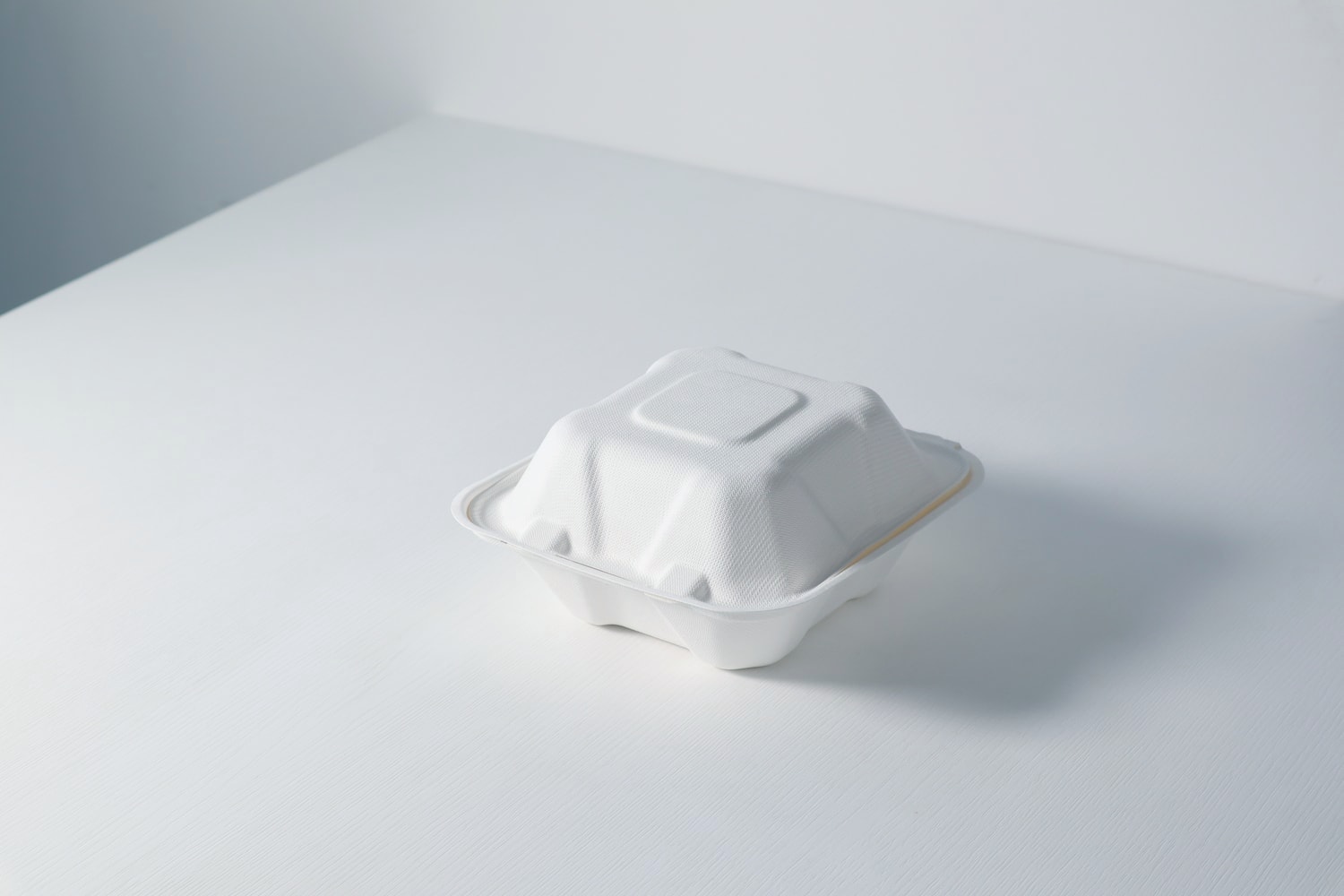 新商品(仕切り容器)